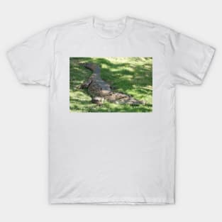 American crocodile (Crocodylus acutus) in Florida, USA T-Shirt